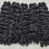 Burmese Curly